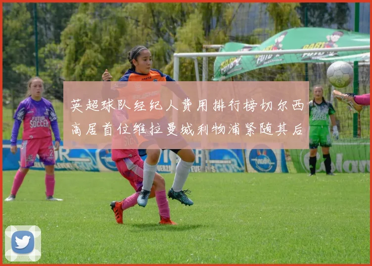 英超球队经纪人费用排行榜切尔西高居首位维拉曼城利物浦紧随其后